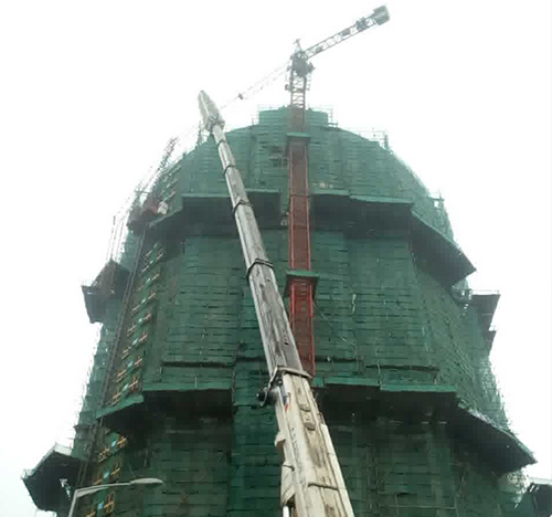 托里吊车在工地上作业